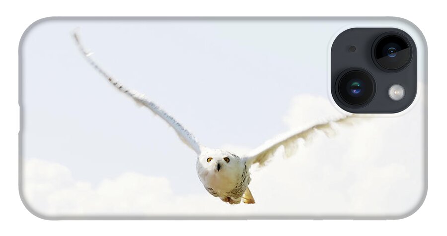 Vertebrate iPhone 14 Case featuring the photograph Snowy Owl #1 by Alesveluscek