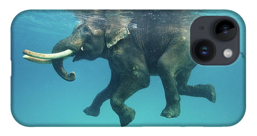 Underwater iPhone 14 Case featuring the photograph Swimming Elephant by Mike Korostelev Www.mkorostelev.com
