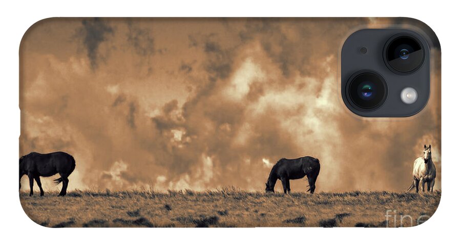 Mustangs iPhone 14 Case featuring the photograph Wild and Free by Jim Garrison