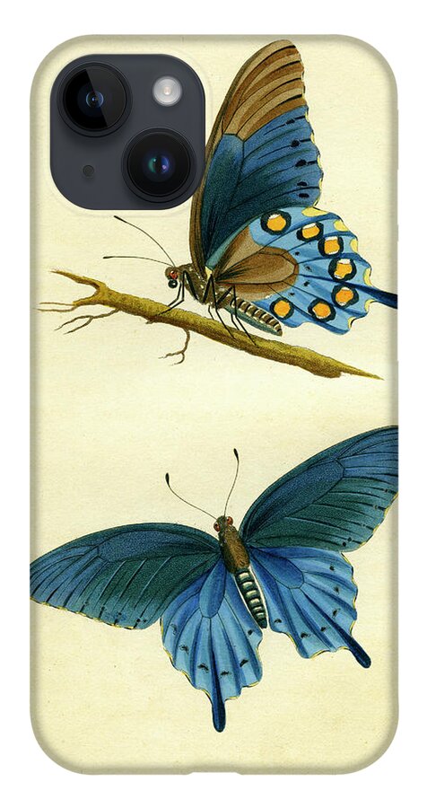 Entomology iPhone Case featuring the mixed media butterflies - Papilio philenor by Unknown