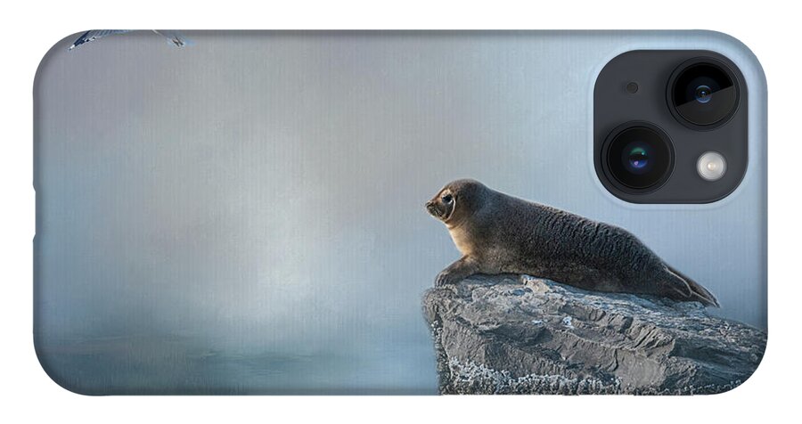 Seal iPhone 14 Case featuring the photograph On The Rocks by Cathy Kovarik