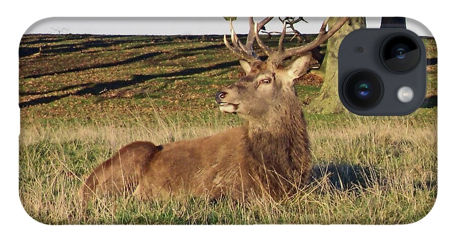Knutsford iPhone 14 Case featuring the photograph 28/11/18 TATTON PARK. Stag in The Park. by Lachlan Main