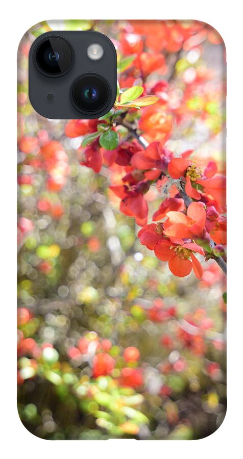 Floral iPhone 14 Case featuring the photograph Sweet Memories #3 by Bonnie Bruno