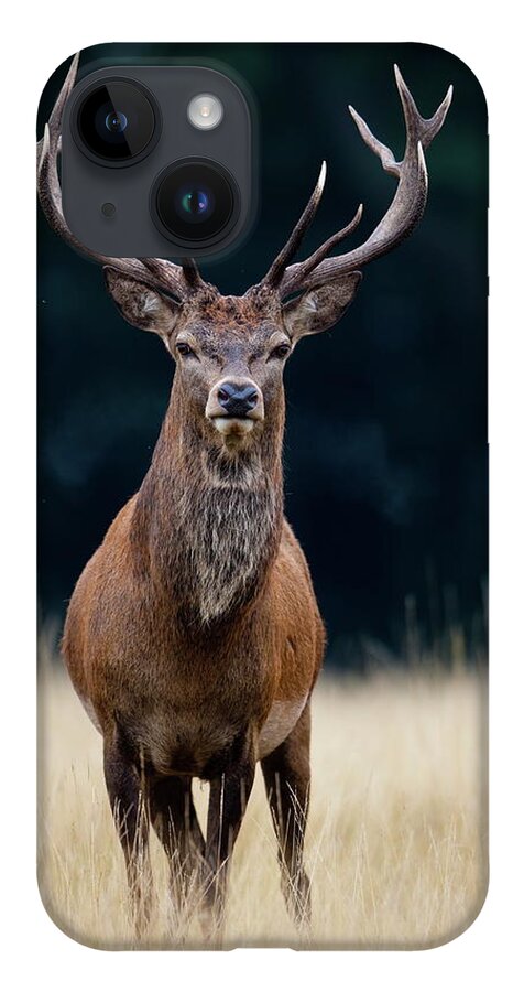 Rutting iPhone 14 Case featuring the photograph Red Deer #6 by Damiankuzdak