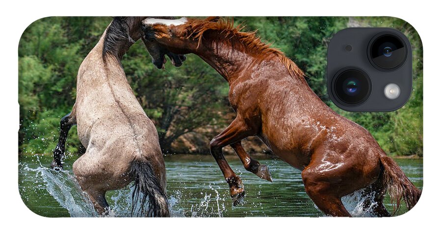 Stallion iPhone 14 Case featuring the photograph A Sorrel's Counter-Attack. by Paul Martin