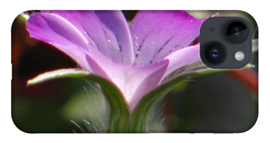 Flower iPhone Case featuring the photograph A study in lilac by Karin Ravasio