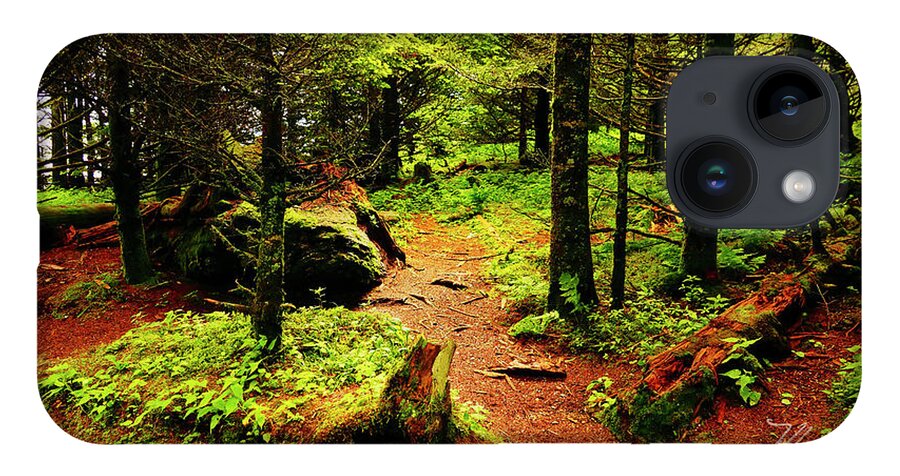 Walk In The Woods iPhone 14 Case featuring the photograph A Walk In The Woods by Meta Gatschenberger