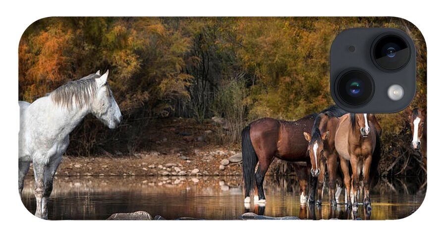 Stallion iPhone 14 Case featuring the photograph A Watchful Eye. by Paul Martin