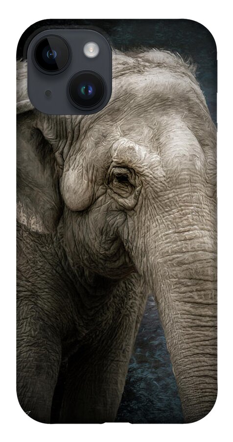 Elephant iPhone 14 Case featuring the photograph Adult Elephant by Randall Allen