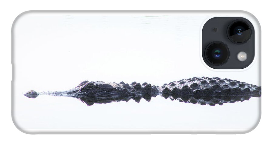 Alligator iPhone Case featuring the photograph Afloat by Michael Allard