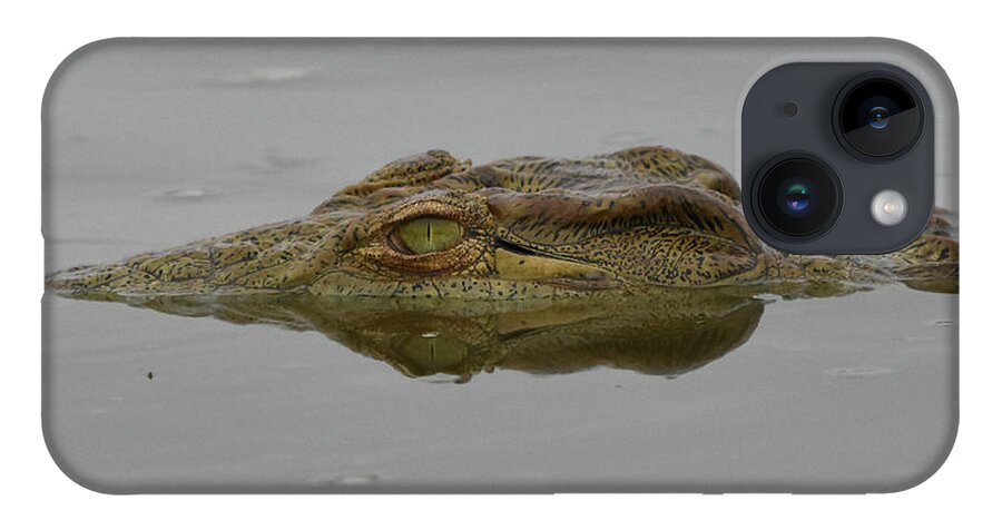 Croc iPhone 14 Case featuring the photograph African Crocodile by Ben Foster