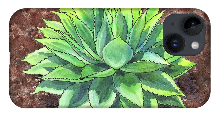 Succulent iPhone 14 Case featuring the painting Agave Ovatifolia Succulent Plant Garden Watercolor by Irina Sztukowski