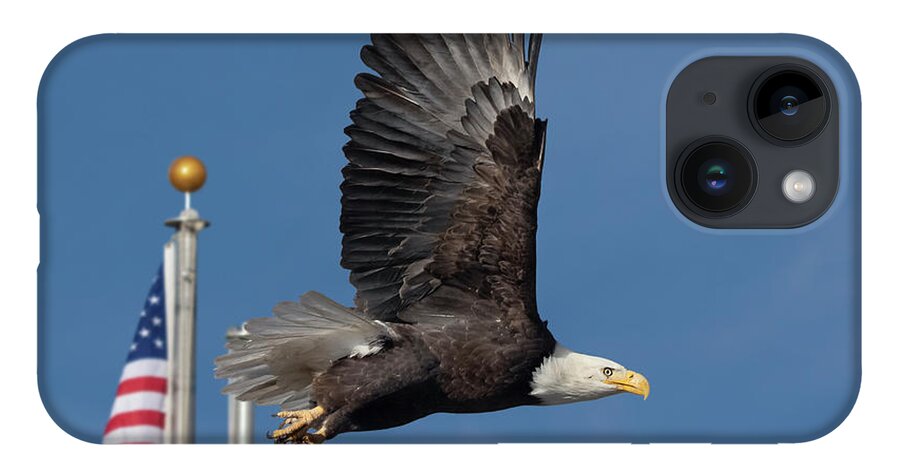 Raptor iPhone 14 Case featuring the photograph American Bald Eagle with Flag by Rick Mosher