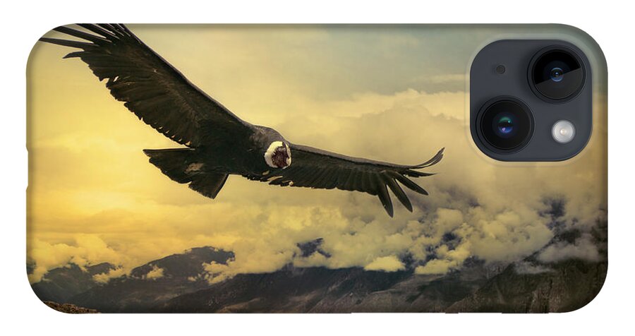 Animal Themes iPhone 14 Case featuring the photograph Andean Condor by Istvan Kadar Photography