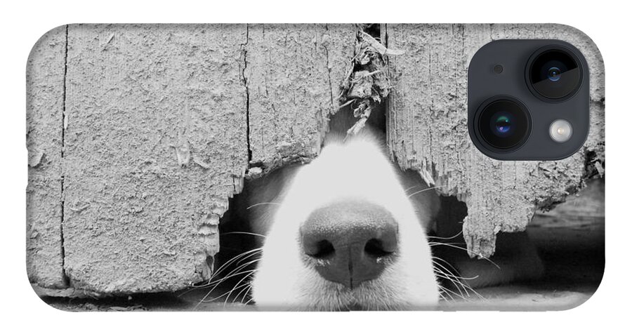 Pets iPhone 14 Case featuring the photograph Anyone Out There by By Jake P Johnson