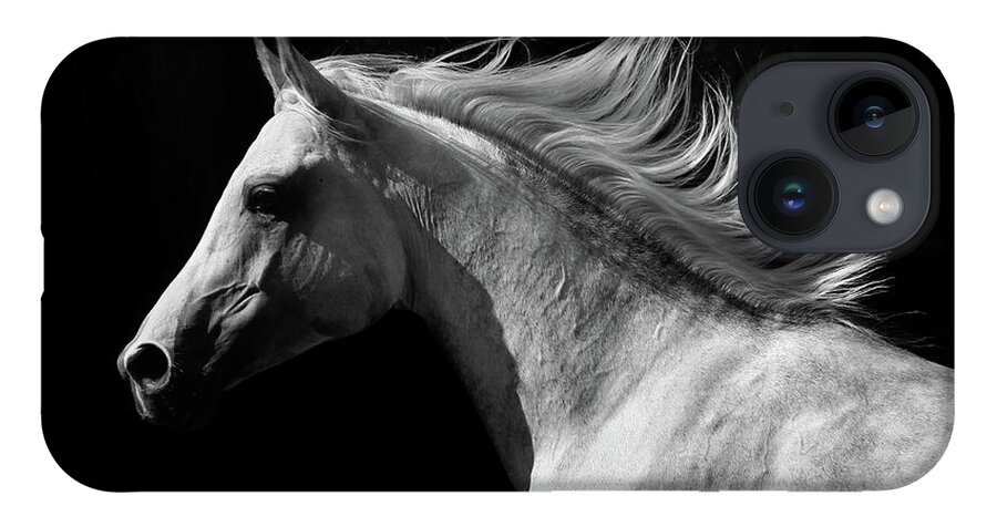 Horse iPhone 14 Case featuring the photograph Arab Stallion by Photographs By Maria Itina