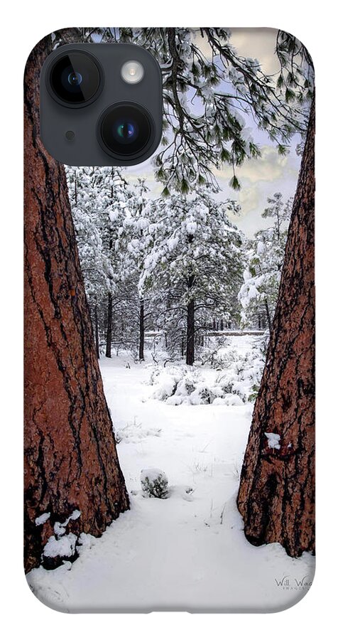 Arizona iPhone 14 Case featuring the photograph Arizona Redwoods by Will Wagner