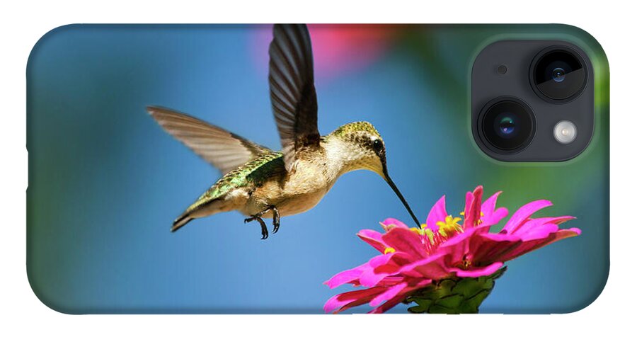 Hummingbird iPhone 14 Case featuring the photograph Art of Hummingbird Flight by Christina Rollo