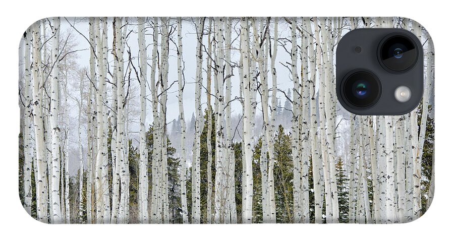 Scenics iPhone 14 Case featuring the photograph Aspens In Winter by Adventure photo