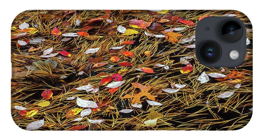 Allegheny Plateau iPhone 14 Case featuring the photograph Autumn Leaves & Pitch Pine Needles by Michael Gadomski