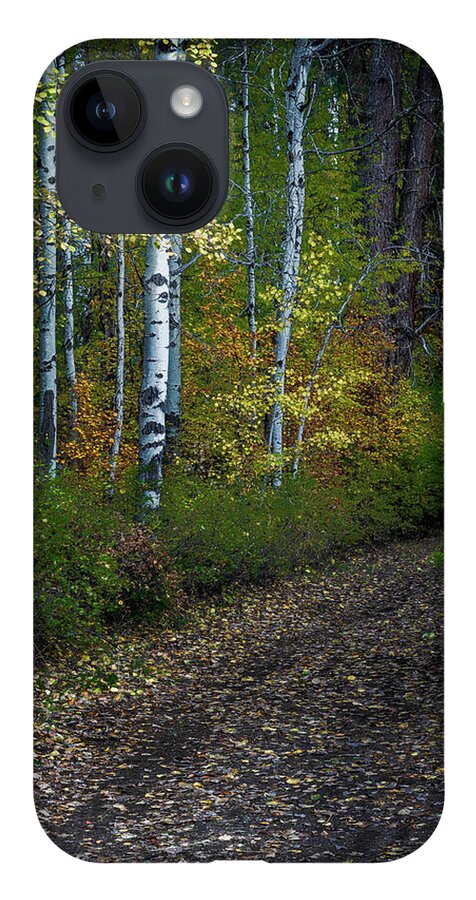 Best Of The Northwest iPhone 14 Case featuring the photograph Autumn Path by Greg Waddell