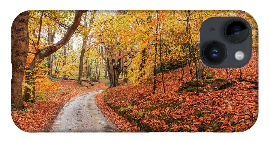 Norfolk iPhone 14 Case featuring the photograph Norfolk autumn woodland and winding rural road by Simon Bratt