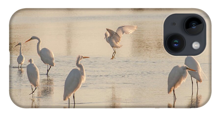 Birds iPhone 14 Case featuring the photograph Ballet of the Egrets by Donald Brown