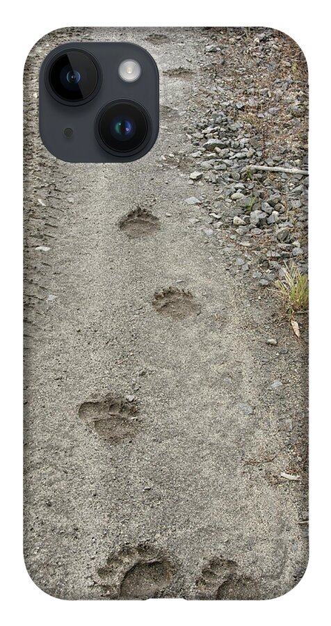 Bear iPhone 14 Case featuring the photograph Bear Tracks by Debra Baldwin