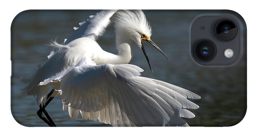 Snowy Egret iPhone 14 Case featuring the photograph Beautiful Snowy Egret. by Paul Martin