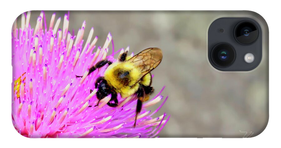 Macro Photography iPhone Case featuring the photograph Bee On Pink Bull Thistle by Meta Gatschenberger