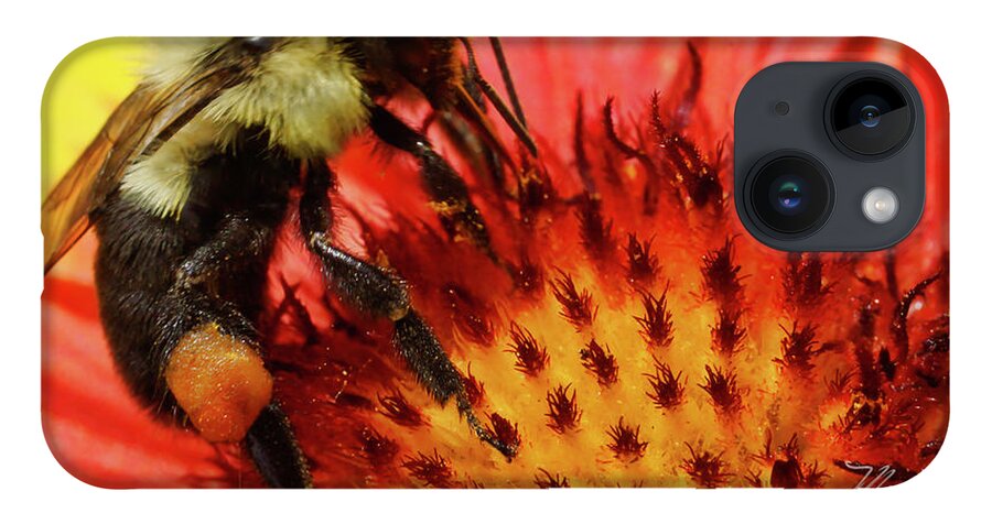 Bee iPhone Case featuring the photograph Bee Red Flower by Meta Gatschenberger