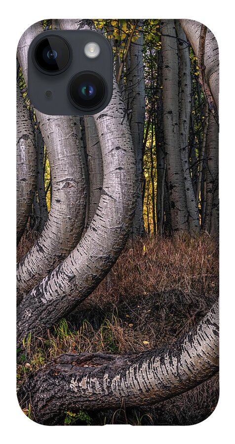 Trees iPhone 14 Case featuring the photograph Bent Out of Shape by Chuck Jason