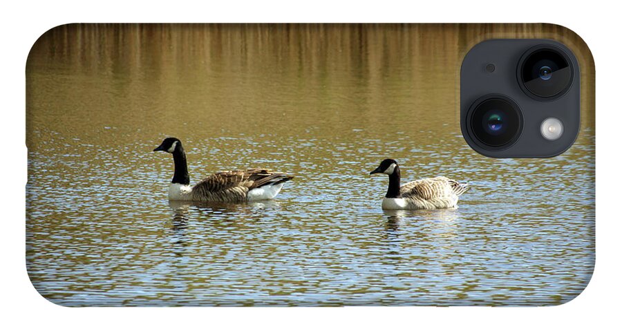 Wirral iPhone 14 Case featuring the photograph  BIDSTON. Bidston Moss Wildlife Reserve. Two Geese. by Lachlan Main