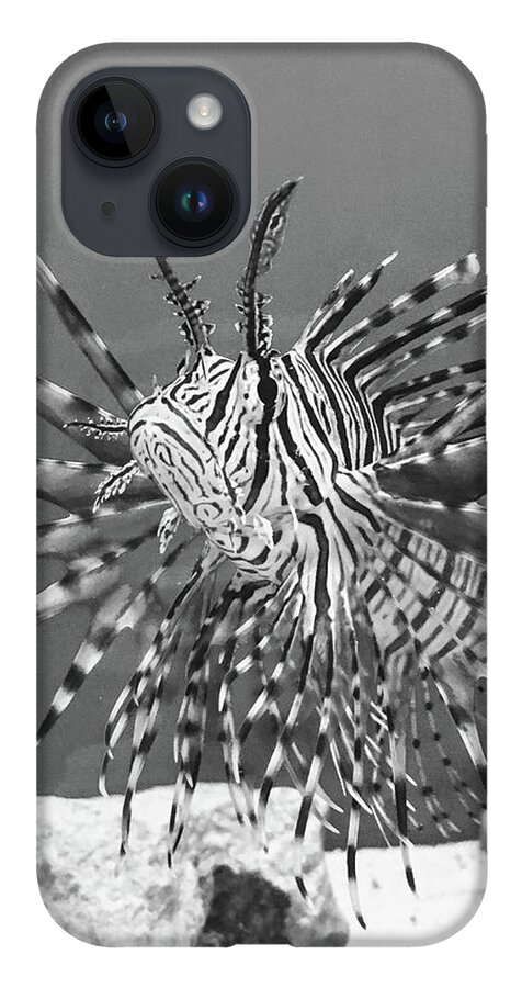 Fish iPhone 14 Case featuring the photograph Black and White Lion Fish by Rocco Silvestri