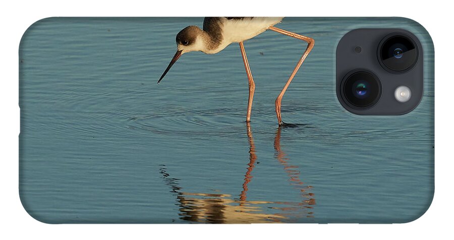Muddy iPhone 14 Case featuring the photograph Black-winged Stilt by Pablo Avanzini