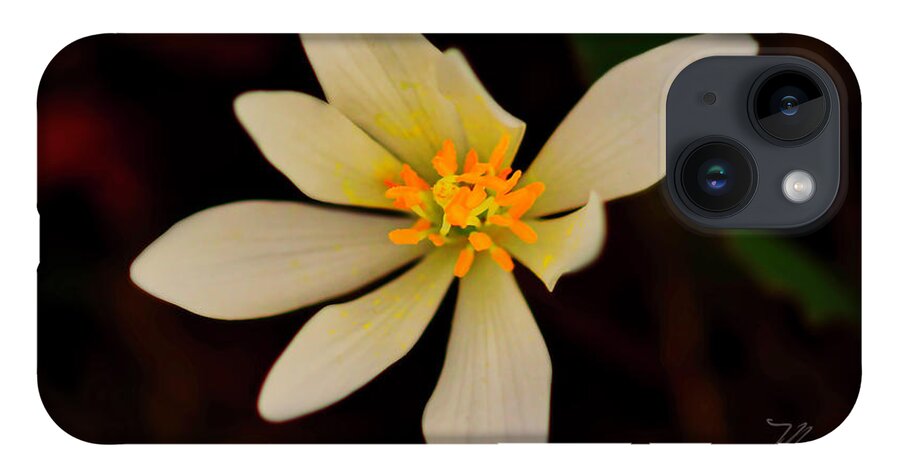 Macro Photography iPhone Case featuring the photograph Bloodroot by Meta Gatschenberger
