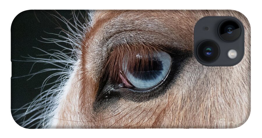 Cute iPhone 14 Case featuring the photograph Blue Eye 2 by Shannon Hastings