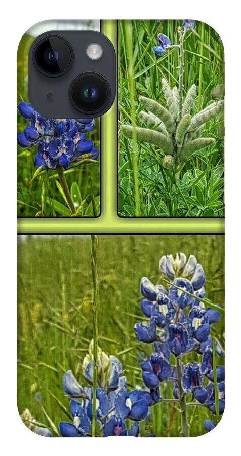 State Flower Of Texas iPhone Case featuring the digital art Blue Lupines Are Texan Bluebonnets by Pamela Smale Williams