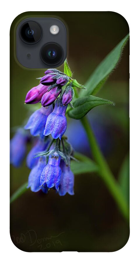 Wildflower iPhone 14 Case featuring the photograph Bluebells 2019 by Fred Denner