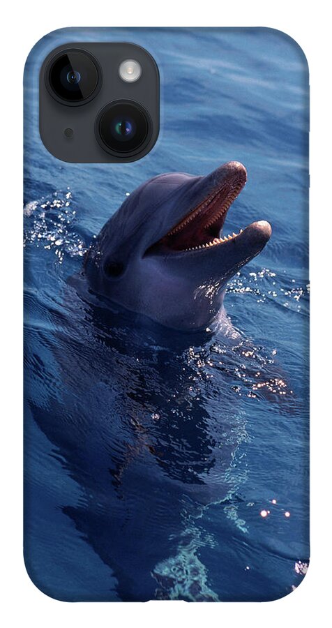 Vertebrate iPhone 14 Case featuring the photograph Bottle-nosed Dolphin by Stuart Westmorland