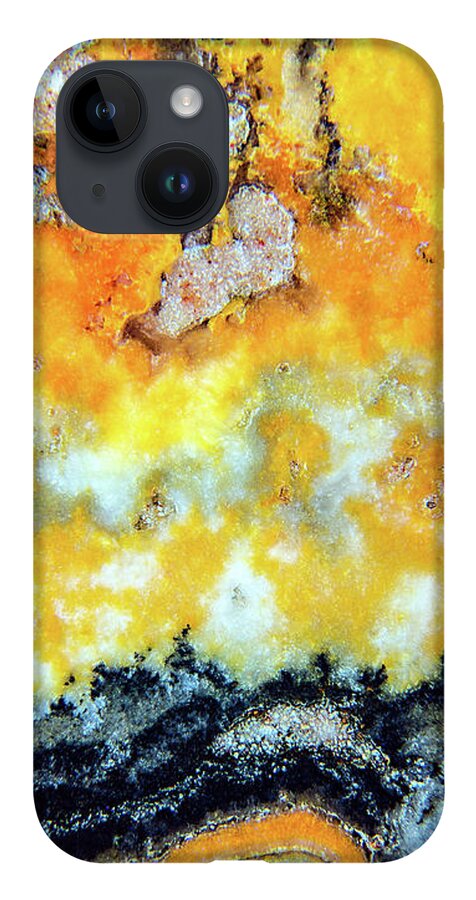Fine Art Photography iPhone 14 Case featuring the photograph Bumblebee Jasper by John Strong