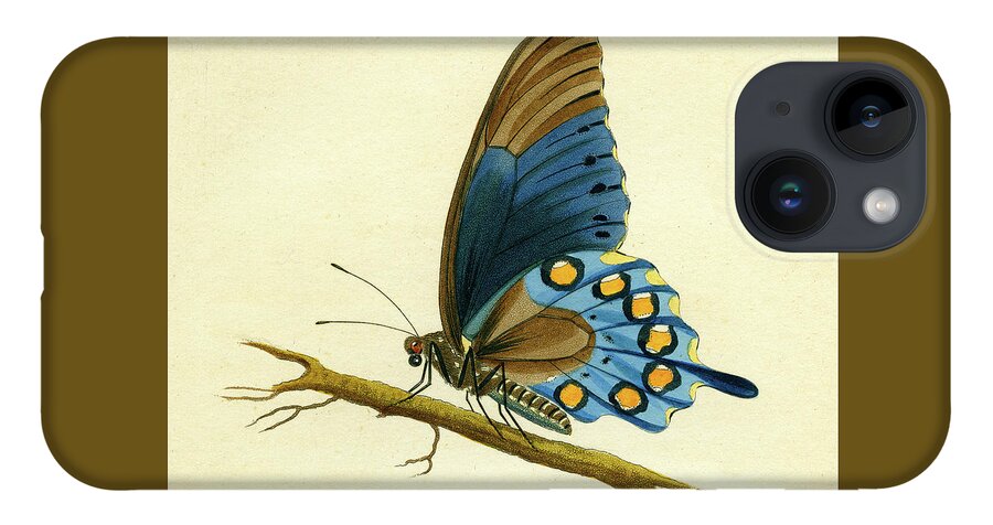 Entomology iPhone 14 Case featuring the mixed media butterfy detail - Papilio Philenor by Unknown