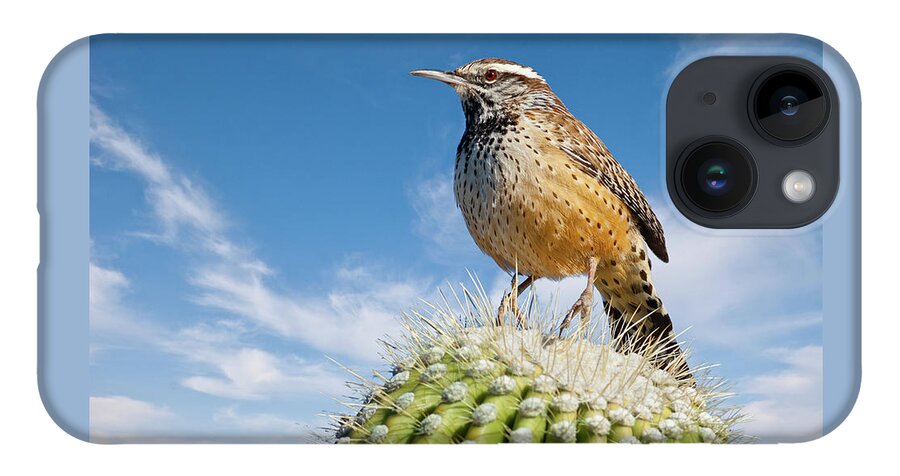 Adult iPhone 14 Case featuring the photograph Cactus Wren on a Saguaro Cactus by Jeff Goulden