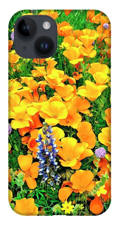 North America iPhone 14 Case featuring the photograph California Poppies and Betham Lupines Southern California by Dave Welling