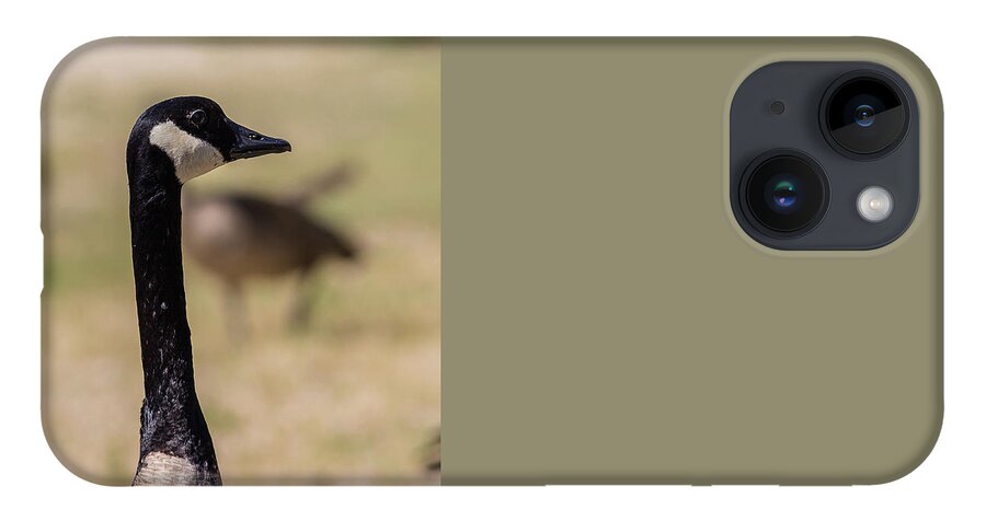 Lake iPhone 14 Case featuring the photograph Canadian goose, Mississippi River State Park by Julieta Belmont