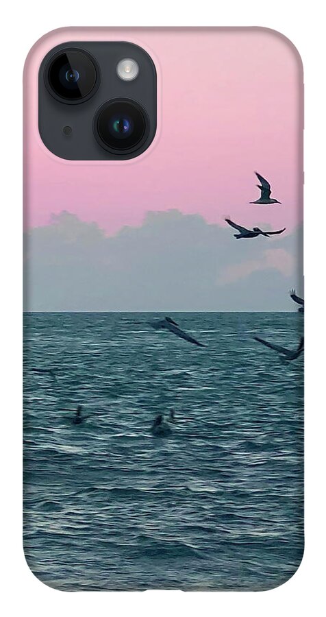 Birds iPhone 14 Case featuring the photograph Captiva Island Sunset Seagulls Feast 3 by Shelly Tschupp