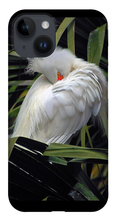 Egret iPhone 14 Case featuring the photograph Catching the Red Eye by Michael Allard