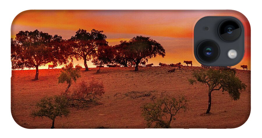 Cattle iPhone 14 Case featuring the photograph Cattle at dusk by Micah Offman