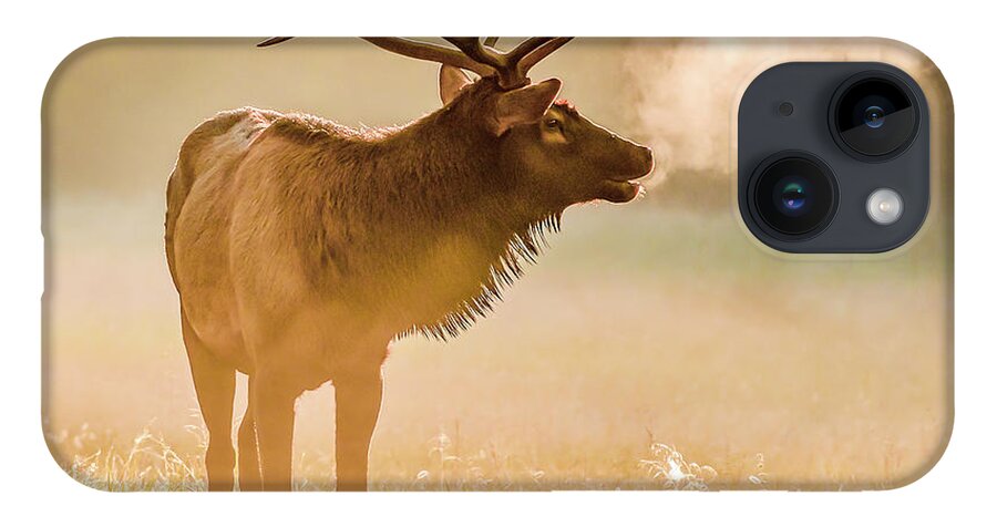Elk iPhone 14 Case featuring the photograph Frosty Bugle Breath by Marcy Wielfaert