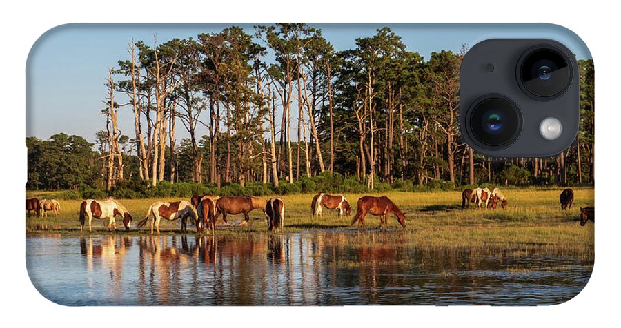 Grass iPhone 14 Case featuring the photograph chincoteague Island ponies by Louis Dallara